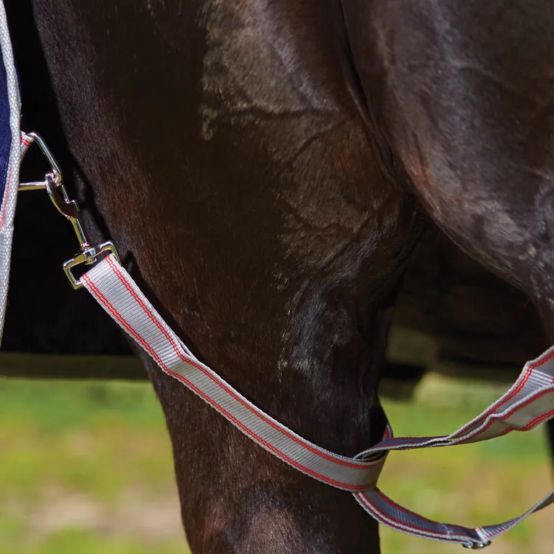 Weatherbeeta Comfitec Essential Standard Neck Turnout - Lite-2